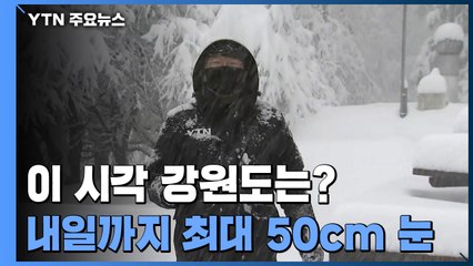 강원도 한겨울 눈 세상...산불 걱정 덜었지만 폭설 피해 우려도 / YTN