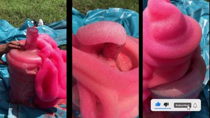 ELEPHANT TOOTHPASTE EXPERIMENT