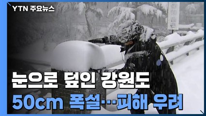 봄이 오나 싶었는데...강원도 폭설 피해 우려 / YTN