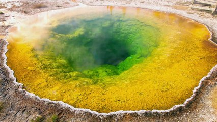 Yellowstone Episode 1 - Alien Life
