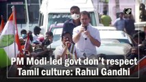 PM Modi-led government don’t respect Tamil culture: Rahul Gandhi