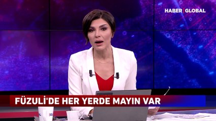 Füzuli'deki mayın temizleme çalışmalarını Haber Global ekibi izledi