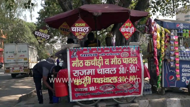 Rajma Chawal the quintessential North Indian comfort food