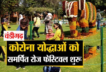 चंडीगढ़ में सांकेतिक रोज फेस्टिवल की शुरुआत, कोरोना योद्धाओं को किया समर्पित