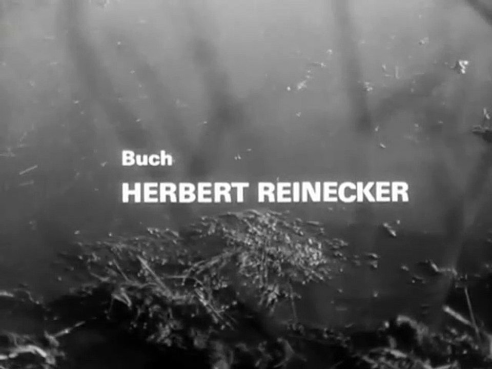 Der Kommissar, Staffel 3, Folge 4  Der Moormörder part 2/2