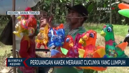 Perjuangan Kakek dan Nenek Hidupi Cucu Yang Lumpuh