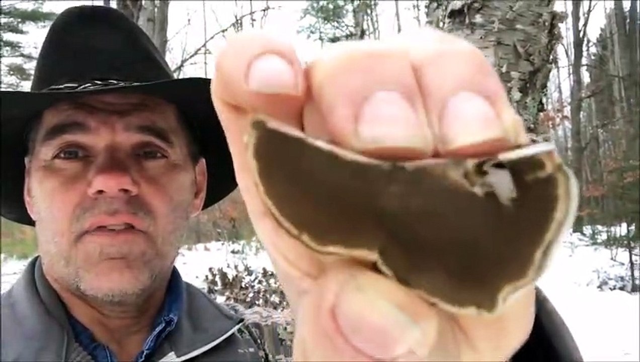 Have Fire Will Travel! How can you travel with fire when its life or death?