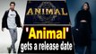Ranbir-Parineeti starrer 'Animal' gets a release date