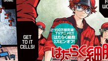 Manga Sinopsis: Cells at Work! Code Black