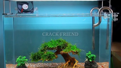 2 Amazing Things You Can Make At Home || Crack Friend