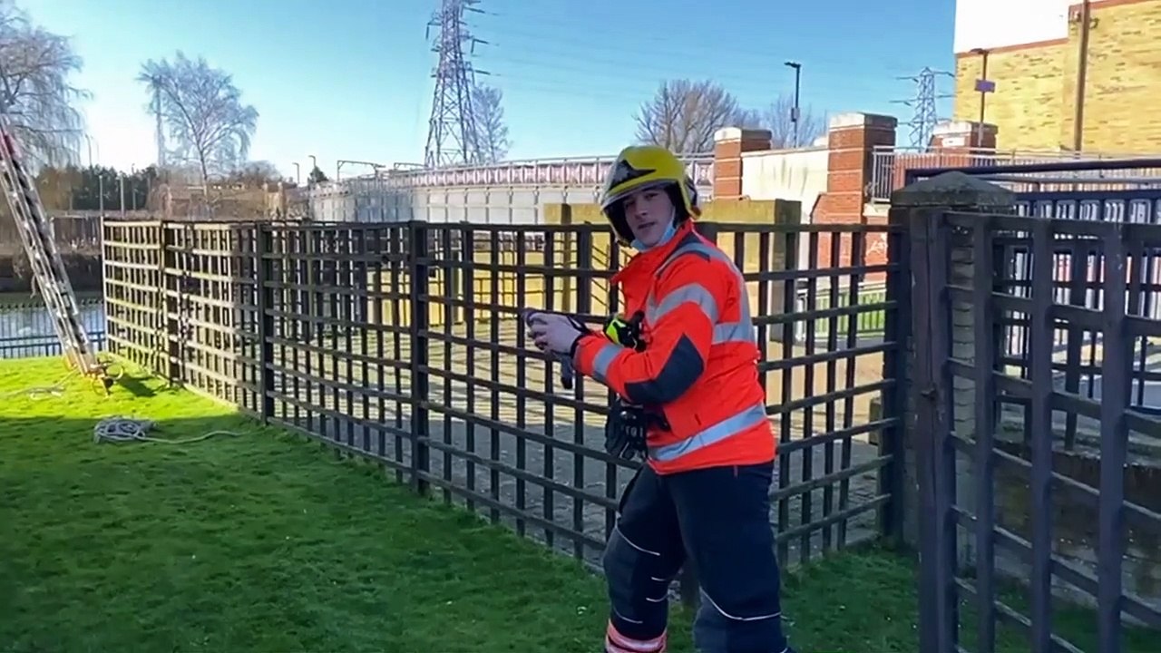 Fire fighters rescue a pigeon that was trapped...