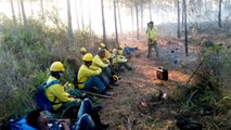 Fuego afecta zona boscosa en Sierra del Bahoruco
