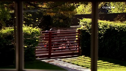 Hay Alguien Ahí   Capítulo 11 part 1/2