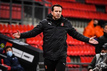 Stade Rennais : le bilan de Julien Stéphan en chiffres