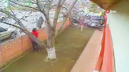 Bahçe duvarından içeri giren minibüsün altında kalmaktan kıl payı kurtuldu