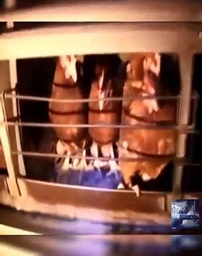 Love MEATender（ラブ ミートエンダー） ～どれだけ肉を食べ続けるのか～ 4-4 BS世界のドキュメンタリー 畜産の工業化、その肉を食べ続ける問題について