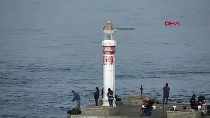 Çanakkale Boğazında yunus sürüsü görüntülendi