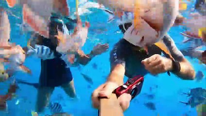 Diving with a School of Fish