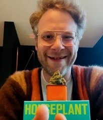 Seth Rogen’s Cannabis Brand to Launch in U.S