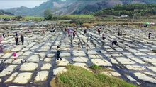 ธรรมชาติรังสรรค์! ‘หาดหมากรุก’ เก่าแก่กว่า 2,000 ปีในกว่างซี - XinhuaThai
