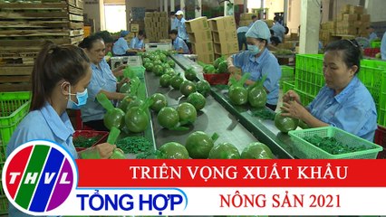 Chuyên đề kinh tế: Triển vọng xuất khẩu nông sản 2021