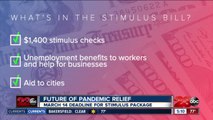 The future of pandemic relief, March 14 deadline for stimulus passage