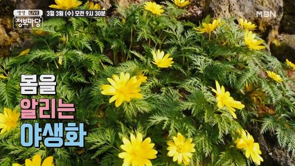 생생 정보마당 [830회] - 실속 있는 수요일
