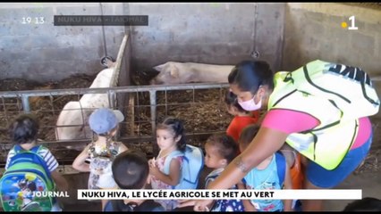 La filière agricole du CED de Nuku Hiva se développe