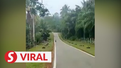 First-day-of-school jitters send Standard One boy running from school