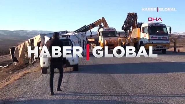 Büyükbaş yüklü TIR devrildi, hayvanlar araziye dağıldı