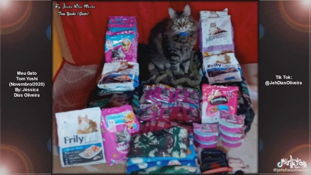 Meus Vídeos do Tik Tok (@JehDiasOliveira) (Novembro/2020 e Fevereiro/2021) #12