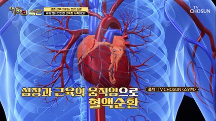 10초도 견디기 힘들면 위험 【생존 근육량 자가 테스트】 TV CHOSUN 210302 방송