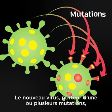 Pastille 2 - Vaccins : pourquoi les virus ont-ils des variants ?