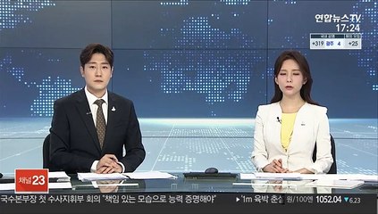 한미 안보실장 통화…"한반도 평화 긴밀 공조"