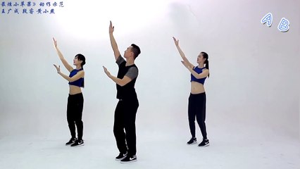 Square dance —-little apple mix