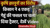 Farmer Law के विरोध में किसान ने जोत डाली Wheat की फसल, 4 एकड़ में खड़ी फसल की नष्ट | वनइंडिया हिंदी