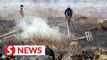 Kuala Langat Selatan forest fire spreads to over 40 hectares