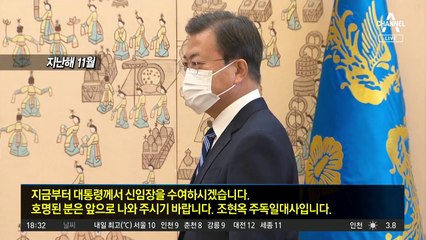 3주택자인데…조현옥 독일대사 됐다