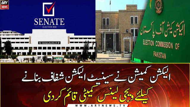 Senate polls: ECP forms vigilance committee to curb electoral malpractices