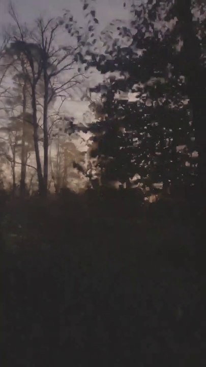 Riff - Ride. Pt. 6 (Vertical Video) | Shot on iPhone & Produced with the OP-Z