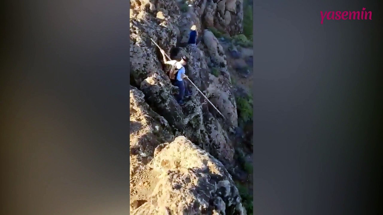 Çobanların yüksek yerlerden mızrakla inme inme yöntemleri!
