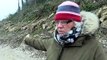 Trees being felled in Eastbourne