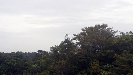 Boeing 777-300ER PT-MUG na aproximação final antes de pousar em Manaus vindo de Guarulhos