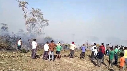 निघासन थाना क्षेत्र के गांव गजियापुर के बचैला जंगल में लगी आग