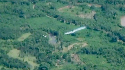 Gobierno insiste que en abril arrancaría aspersión aérea de cultivos ilícitos