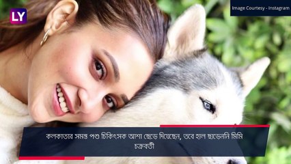 Mimi Chakraborty: মিমি চক্রবর্তীর পোষ্য আক্রান্ত ক্যান্সারে, প্রার্থনা রাজ চক্রবর্তীর