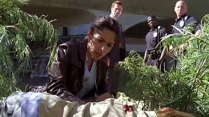 Life.s01e01 Merit Badge