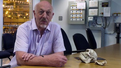 High-Tech Scans of Early Human Ancestor Provides Rare Look At Critical Juncture in Mankind’s Evolutionary Past