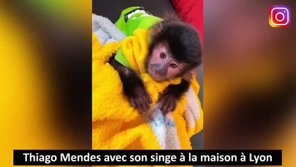 Zap foot de la semaine du 01-03 2