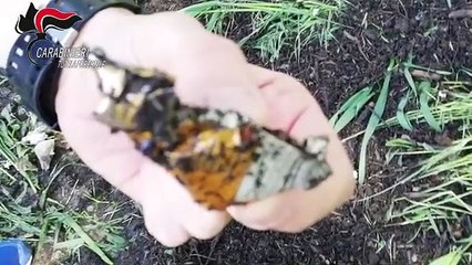 Cuneo - Terreni agricoli inquinati con fanghi non trattati (02.03.21)